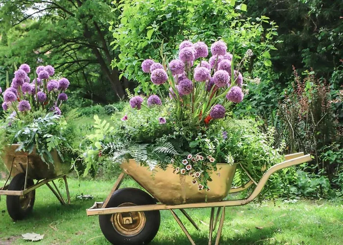 Deichkind Country Loft